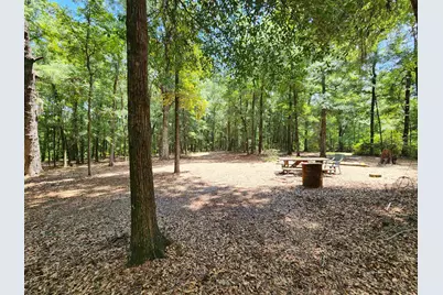 329 Bauer Trail, Hemingway, SC 29554 - Photo 10