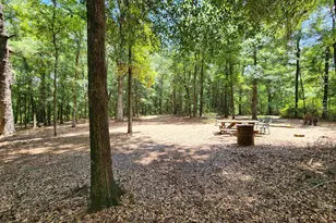 329 Bauer Trail, Hemingway, SC 29554 - Photo 10
