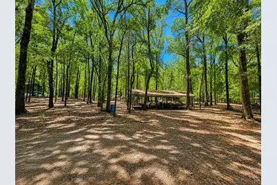 329 Bauer Trail, Hemingway, SC 29554 - Photo 8