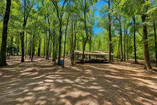 329 Bauer Trail, Hemingway, SC 29554 - Photo 8