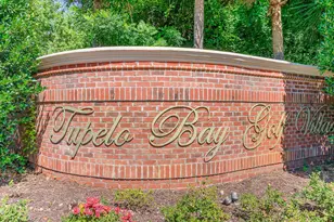 1008 Ray Costin Way, Murrells Inlet, SC 29576 - Photo 28