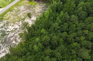 380 Brunson Spring Rd, Galivants Ferry, SC 29544 - Photo 26