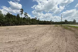 380 Brunson Spring Rd, Galivants Ferry, SC 29544 - Photo 18