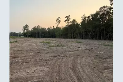 380 Brunson Spring Rd., Galivants Ferry, SC 29544 - Photo 32