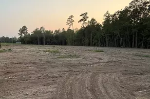 380 Brunson Spring Rd, Galivants Ferry, SC 29544 - Photo 32