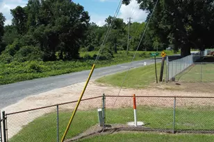 466 Ivey Dr, Clio, SC 29525 - Photo 26