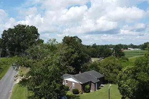 466 Ivey Dr, Clio, SC 29525 - Photo 20