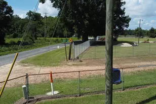 466 Ivey Dr, Clio, SC 29525 - Photo 24