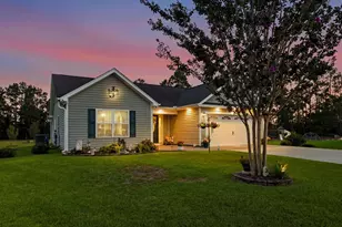154 Clearwind Ct, Galivants Ferry, SC 29544 - Photo 64