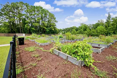 723 Joywood Dr., Longs, SC 29568 - Photo 44
