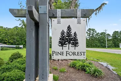 312 Spruce Pine Way, Conway, SC 29526 - Photo 22