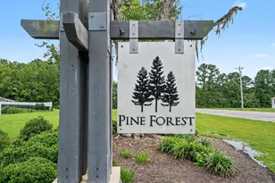312 Spruce Pne Wy, Conway, SC 29526 - Photo 22