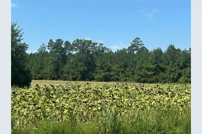 Tbd Pearlie Dr., Dillon, SC 29536 - Photo 26