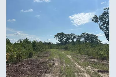 Tbd Mount Calvary Rd., Dillon, SC 29536 - Photo 24