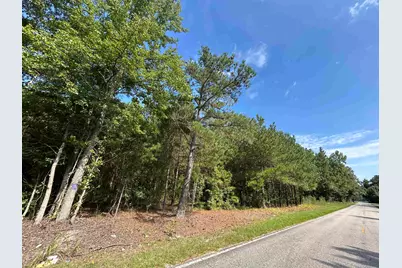 Tbd Mount Calvary Rd., Dillon, SC 29536 - Photo 14