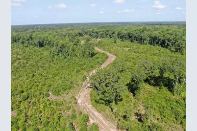 Tbd Mount Calvary Rd., Dillon, SC 29536 - Photo 6