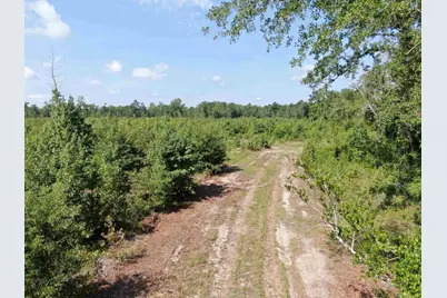 Tbd Mount Calvary Rd., Dillon, SC 29536 - Photo 2