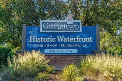 7921 Highway 701 South, Conway, SC 29527 - Photo 54