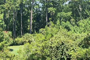 5001 Little River, Myrtle Beach, SC 29577 - Photo 30