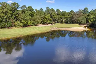 245 Egret Run, Pawleys Island, SC 29585 - Photo 34