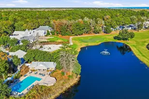 163 Red Tail Hawk Loop, Pawleys Island, SC 29585 - Photo 50