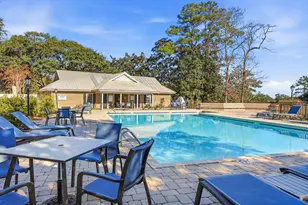 163 Red Tail Hawk Loop, Pawleys Island, SC 29585 - Photo 46