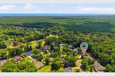 163 Red Tail Hawk Loop, Pawleys Island, SC 29585 - Photo 44