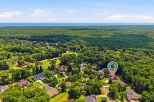 163 Red Tail Hawk Loop, Pawleys Island, SC 29585 - Photo 44
