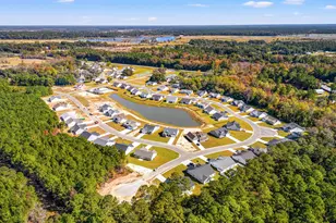 16 Six Mile Crk Dr, Georgetown, SC 29440 - Photo 22
