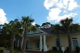 1101 Louise Costin Ln, Murrells Inlet, SC 29576 - Photo 40