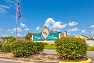 631 Seth Ln, Longs, SC 29568 - Photo 50