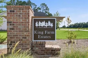 3140 Gadwall Dr, Aynor, SC 29511 - Photo 22
