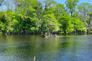 2418 Park St, North Myrtle Beach, SC 29582 - Photo 40