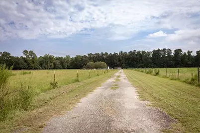 5124 Highway 76, Nichols, SC 29581 - Photo 2