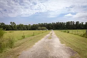 5124 Hwy 76, Nichols, SC 29581 - Photo 2