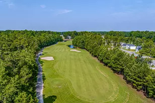 800 Stone Pne Ct, Loris, SC 29569 - Photo 60