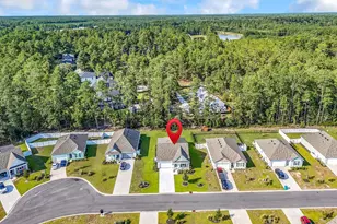 164 Teddy Bear Circle, Conway, SC 29526 - Photo 48
