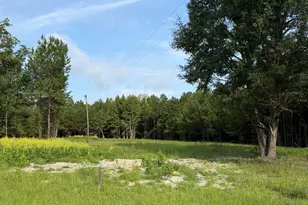 Tbd Hayfield Rd, Georgetown, SC 29440 - Photo 1