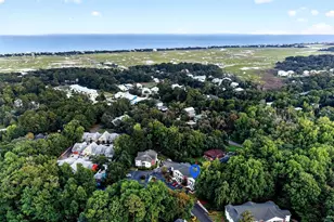 245 Egret Run Ln, Pawleys Island, SC 29585 - Photo 4