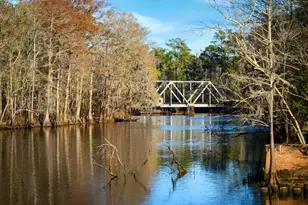 138 Cascade Dr, Conway, SC 29527 - Photo 22