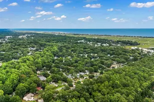 254 Reef Run Rd, Pawleys Island, SC 29585 - Photo 50