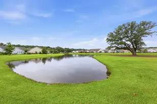 217 Sherwood Dr, Murrells Inlet, SC 29576 - Photo 76