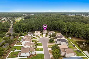 480 Dandalion Ln, Myrtle Beach, SC 29579 - Photo 36