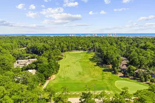 1401 Lighthouse Dr, North Myrtle Beach, SC 29582 - Photo 34