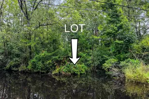 0 Meggett Dr, Georgetown, SC 29440 - Photo 1