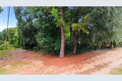 0 Meggett Dr., Georgetown, SC 29440 - Photo 12