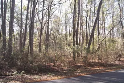 Lot 25 Crow Hill Dr., Georgetown, SC 29440 - Photo 2