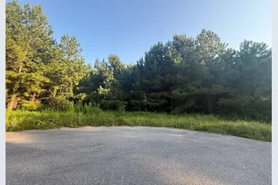 359 Cedar Grove Church Rd, Johnsonville, SC 29555 - Photo 2