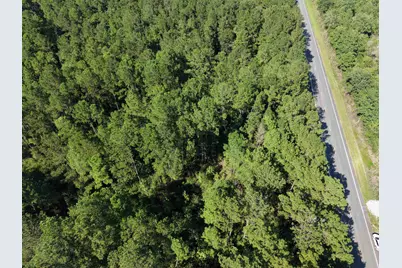 1.25 Acres - N Fraser St., Georgetown, SC 29440 - Photo 4