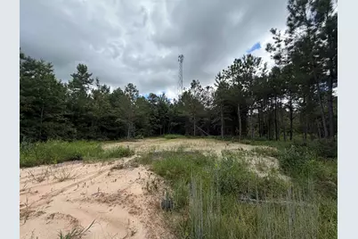 1.25 Acres - N Fraser St., Georgetown, SC 29440 - Photo 2